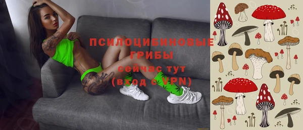прущие крисы Алзамай