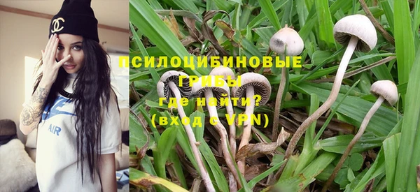 ГАЛЛЮЦИНОГЕННЫЕ ГРИБЫ Арсеньев
