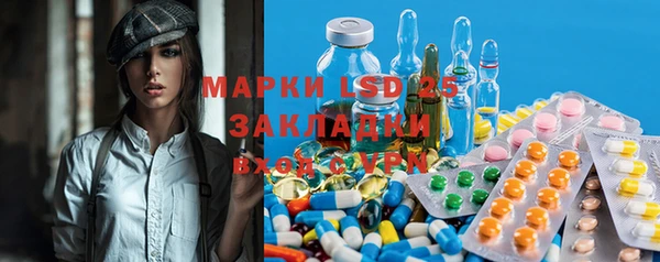 ГАЛЛЮЦИНОГЕННЫЕ ГРИБЫ Арсеньев