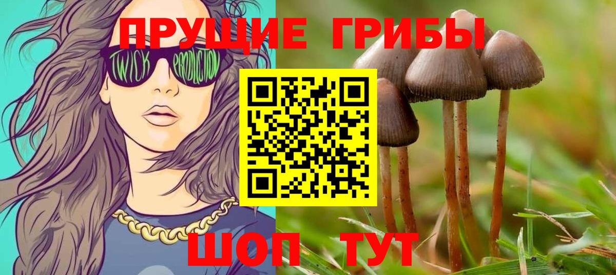 Междуреченск  Псилоцибиновые грибы ЛСД  Галлюциногенные грибы Cubensis  наркотики  Вход с VPN 
